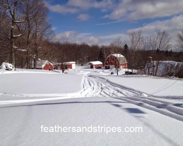 Vermont in the winter // feathersandstripes.com