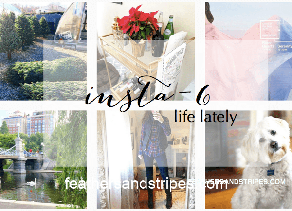 life-lately-instagram-update