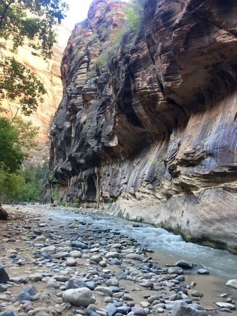 hiking The Narrows at Zion National Park // feathersandstripes.com