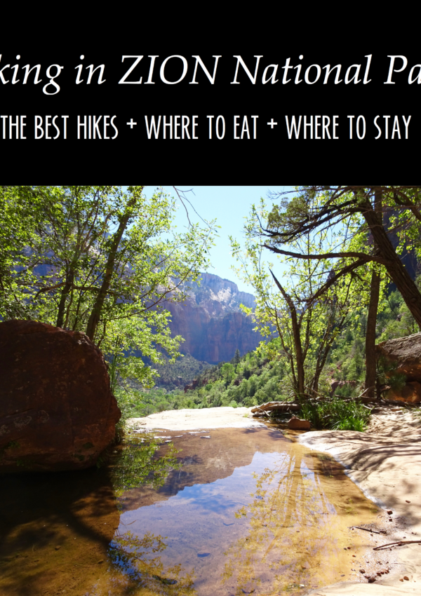 Zion National Park Travel Guide // feathersandstripes.com