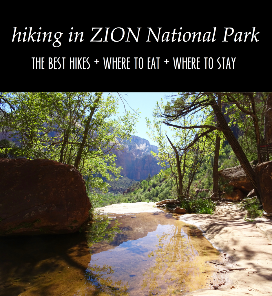 2 Days in Zion National Park | Feathers and Stripes