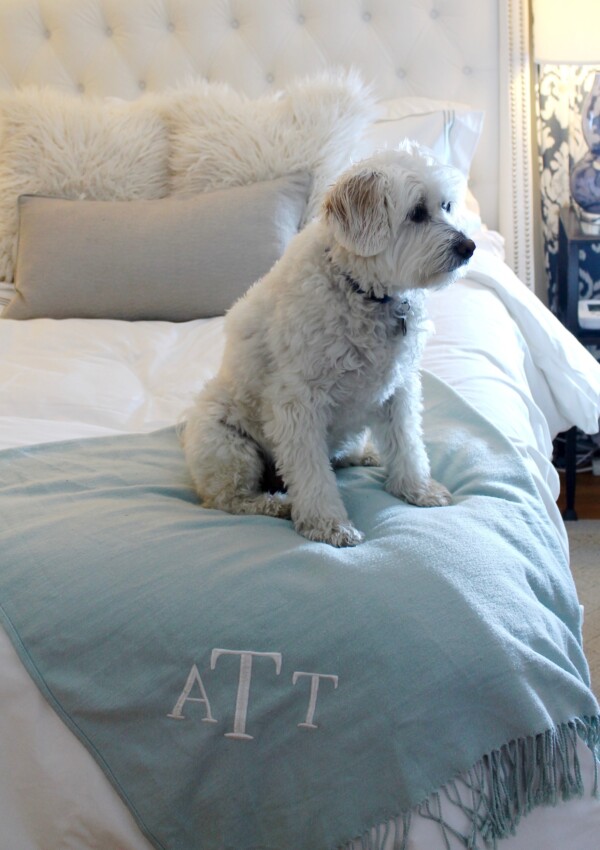 Pottery Barn duvet and shams