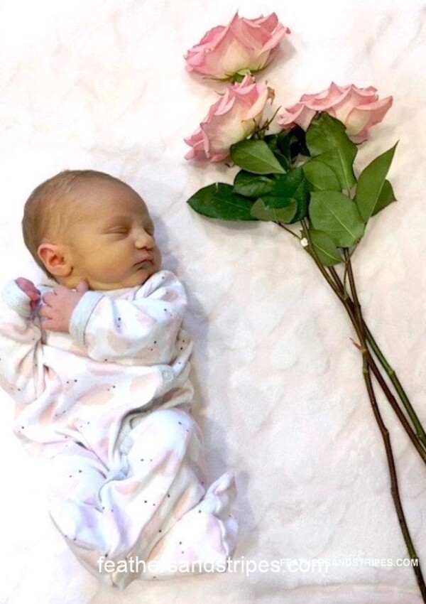 Introducing Eleanor! Feathersandstripes.com baby)