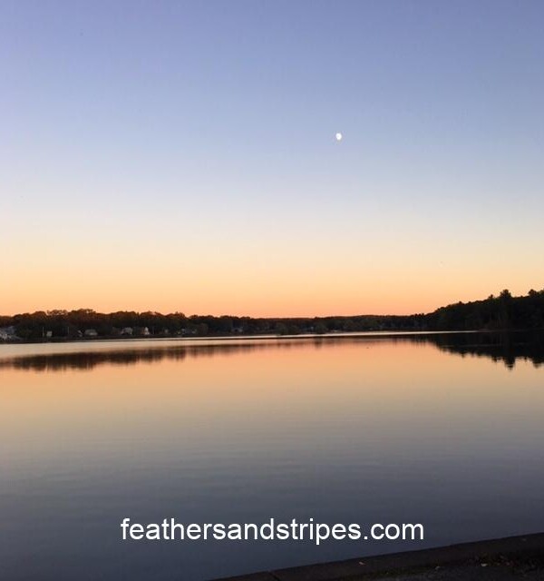 New England sunset over a pond