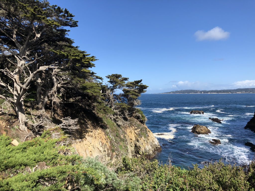 Pacific Coast Highway Road Trip | USA Travels | Feathers and Stripes