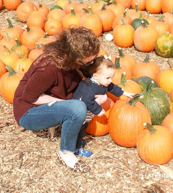 Apple Picking, Pumpkins + the Best Skinny Jeans Everyone Asks About