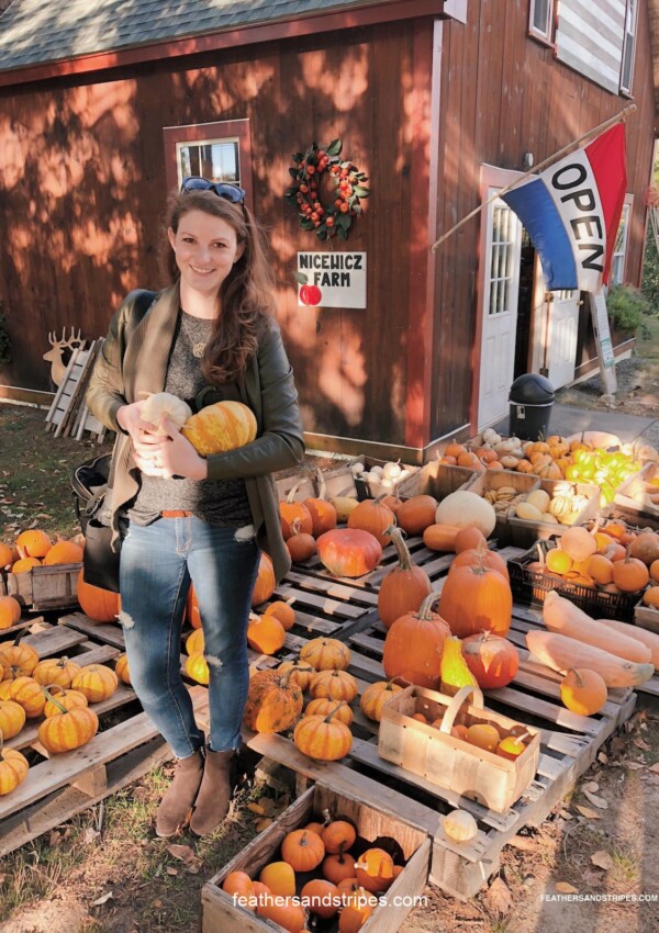 where to go apple picking in Central Massachusetts, pumpkin picking in MA, Greater Boston apple picking feathersandstripes.com