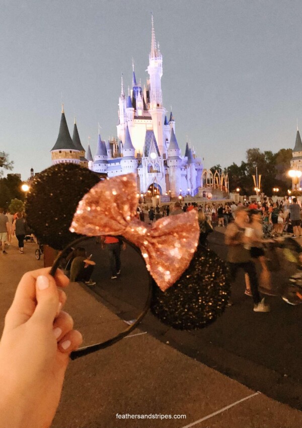 Visiting Disney World with a Toddler: Tips, Tricks, and Our Mantra for the trip from mom- and travel-blogger Alyssa (feathersandstripes.com)