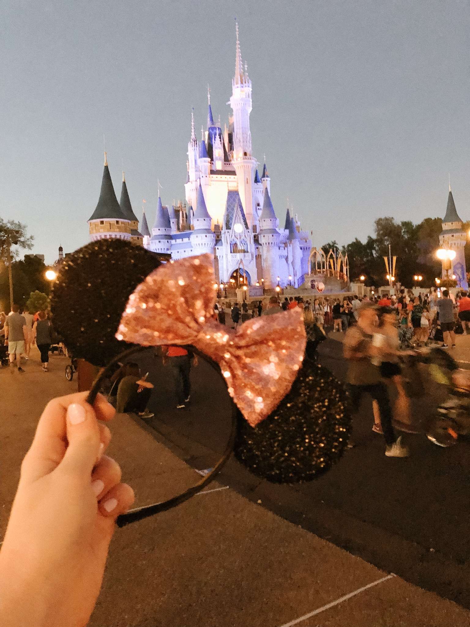 Visiting Disney World with a Toddler: Tips, Tricks, and Our Mantra for the trip from mom- and travel-blogger Alyssa (feathersandstripes.com)