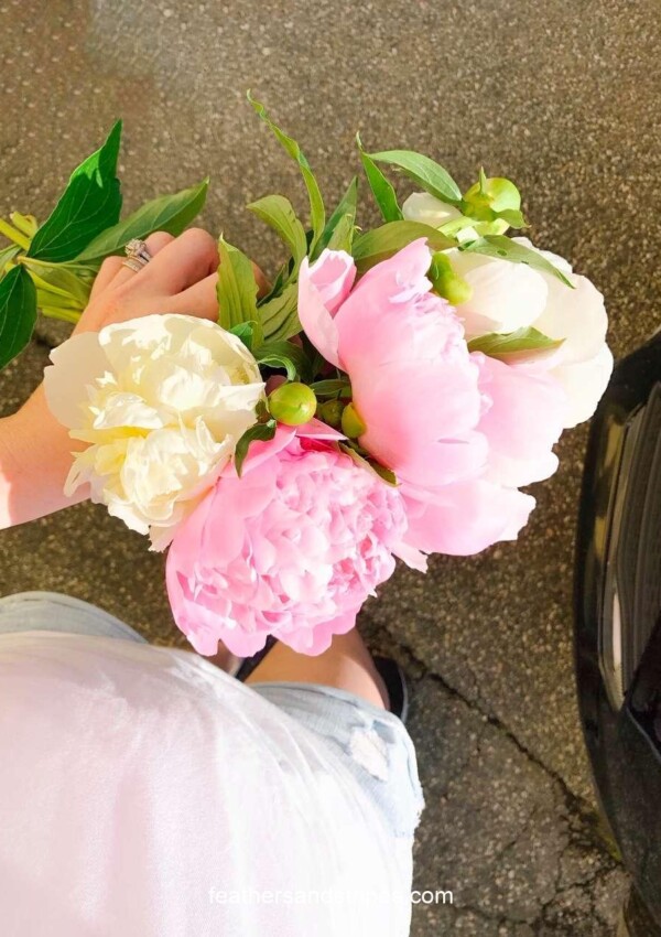 6 Things I Loved This Week (peony season!)