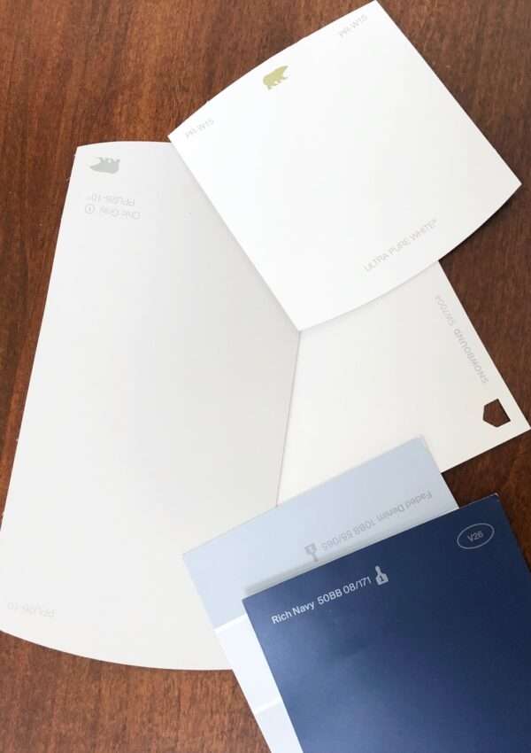 Navy Blue and White Home Color Palette