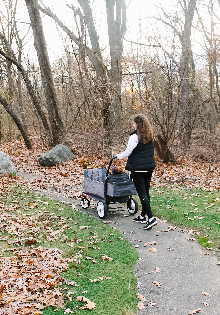 Double Stroller or Wagon – Which is Best?