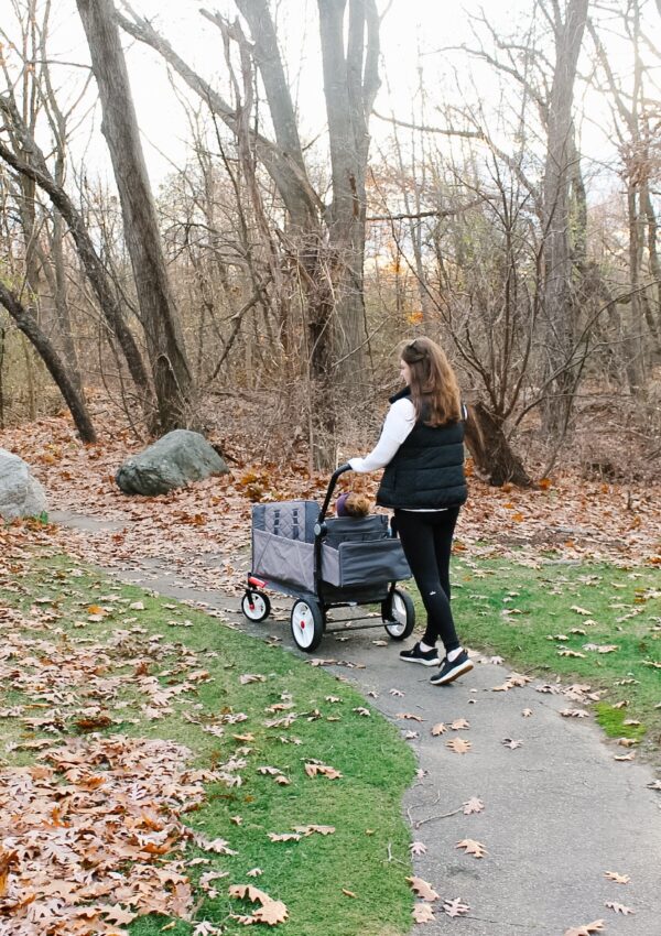 Why We Love Our Radio Flyer Stroller Wagon + Review