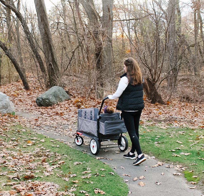 radio flyer odyssey stroller wagon