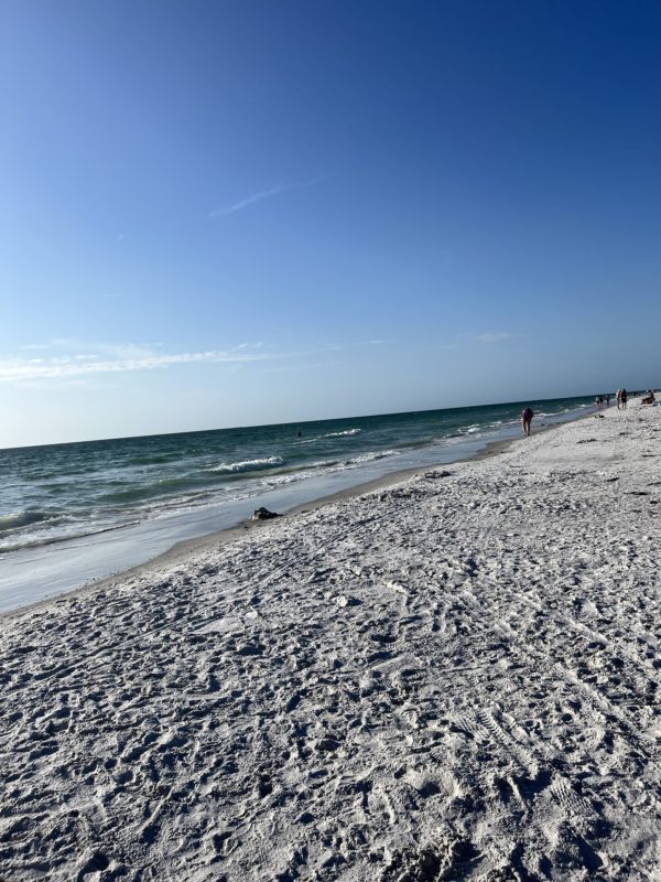 Marriott Sand Key Review: Clearwater Beach, FL | Feathers and Stripes