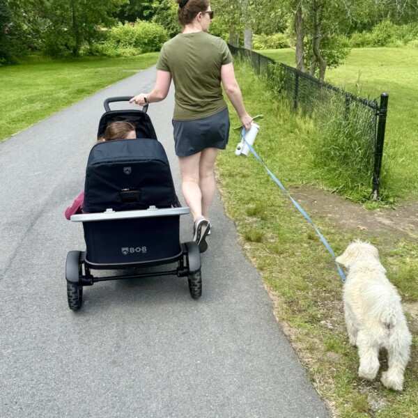 BOB Renegade Stroller Wagon Review: Rugged Must Have or Expensive Nice to Have?