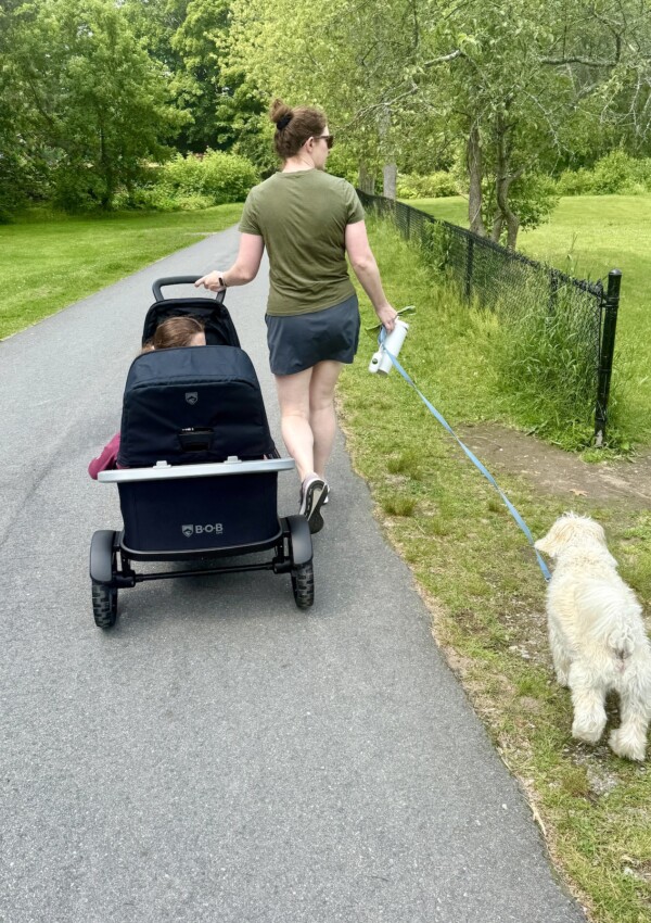 BOB Renegade Stroller Wagon Review: Rugged Must Have or Expensive Nice to Have?