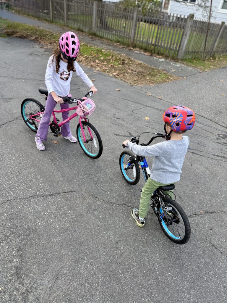 Guardian Bikes