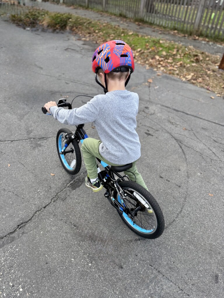 guardian bike kids