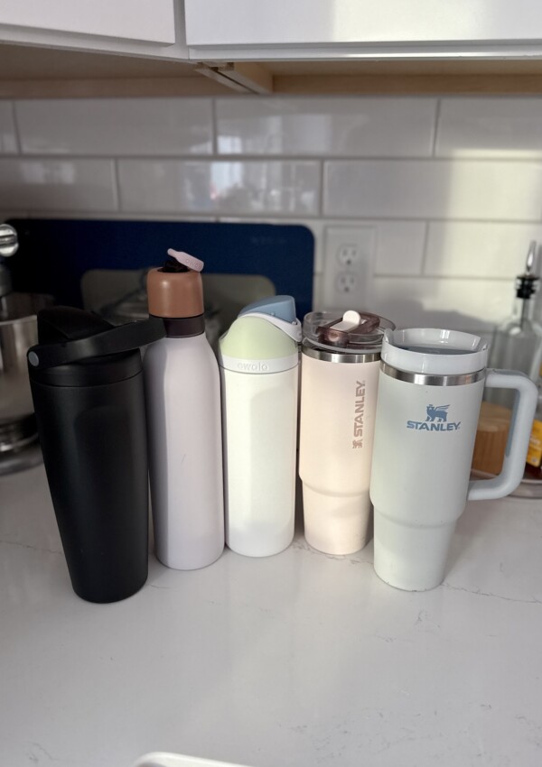 stanley vs owala bottles