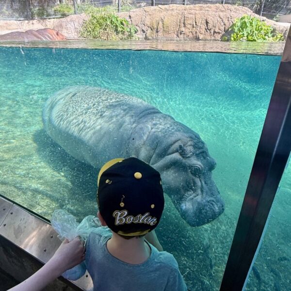 San Diego Zoo