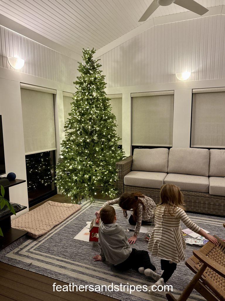 Quince Christmas tree in living room with couch